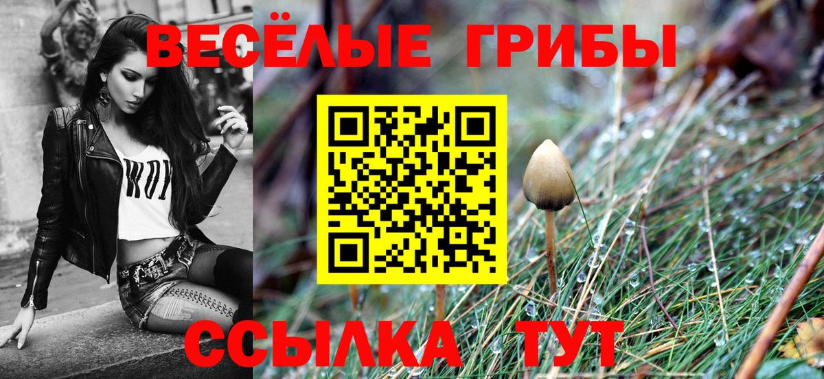 Галлюциногенные грибы Magic Shrooms  Галлюциногенные грибы GOLDEN TEACHER  Вход с VPN  Полевской 
