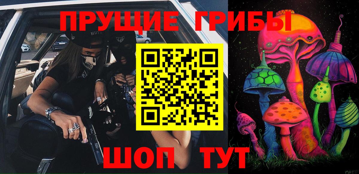 Псилоцибиновые грибы GOLDEN TEACHER Полевской