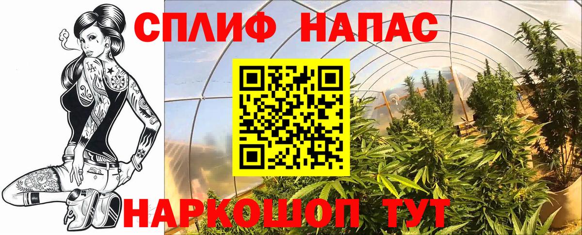 Марихуана SATIVA & INDICA Полевской